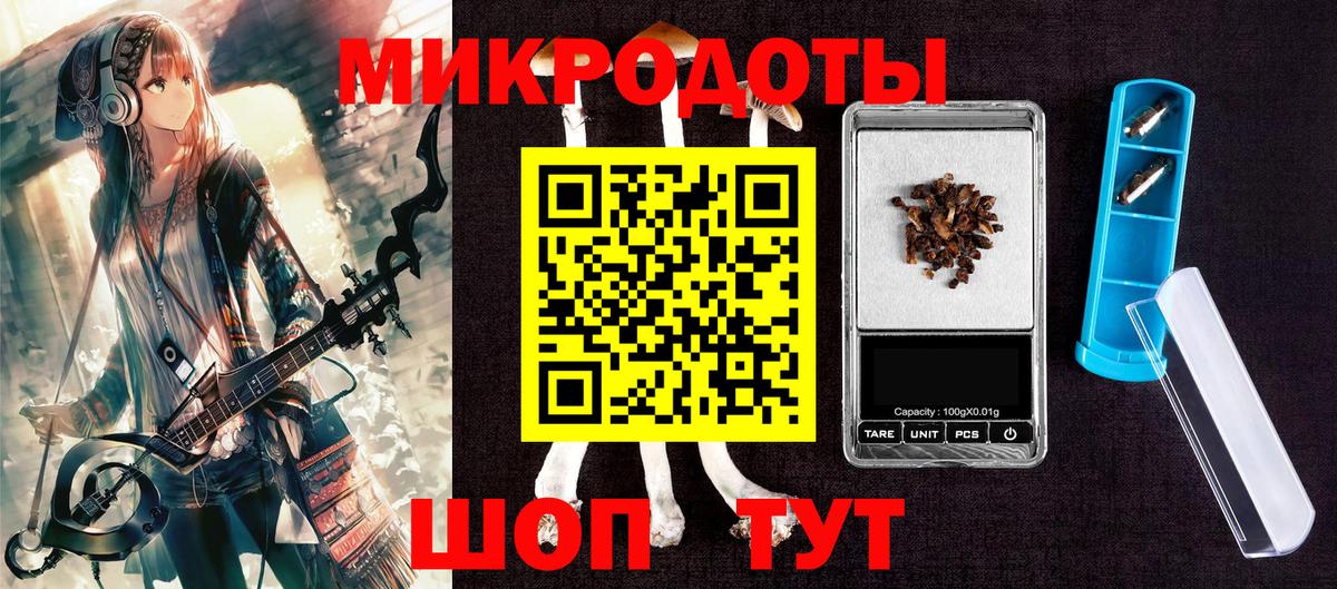 Псилоцибиновые грибы Psilocybine cubensis Благовещенск