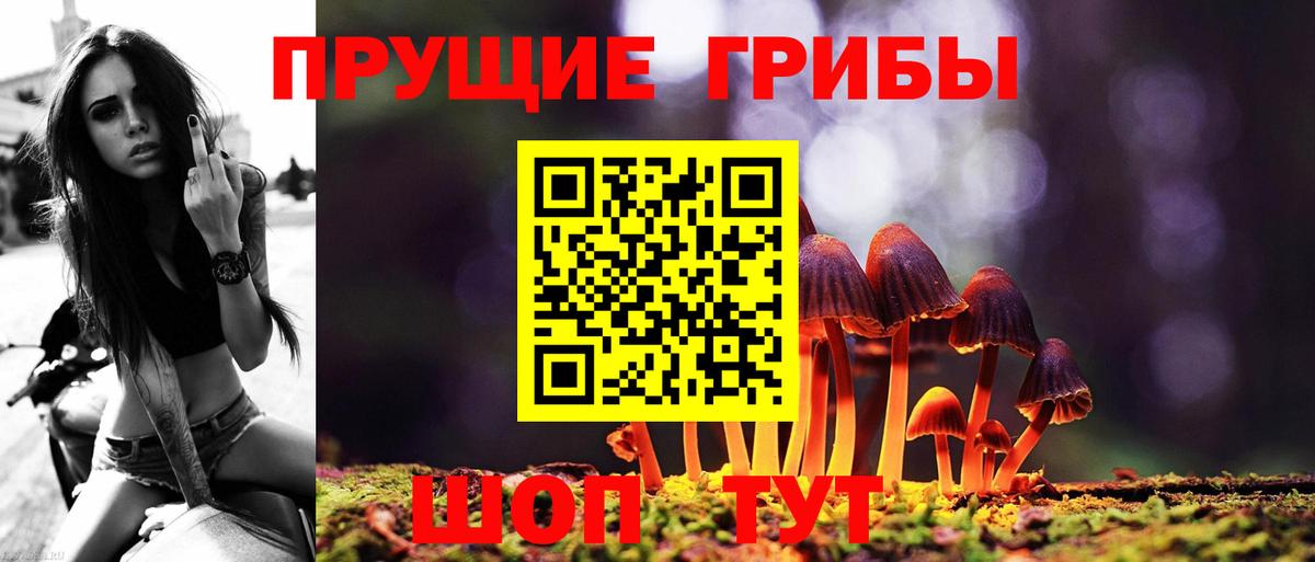 Галлюциногенные грибы GOLDEN TEACHER  где продают наркотики  Псилоцибиновые грибы GOLDEN TEACHER  Благовещенск  Вход с VPN 